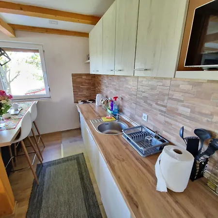 Vila Mountain House Brutusi 17 Bjelasnica Bih Trnovo